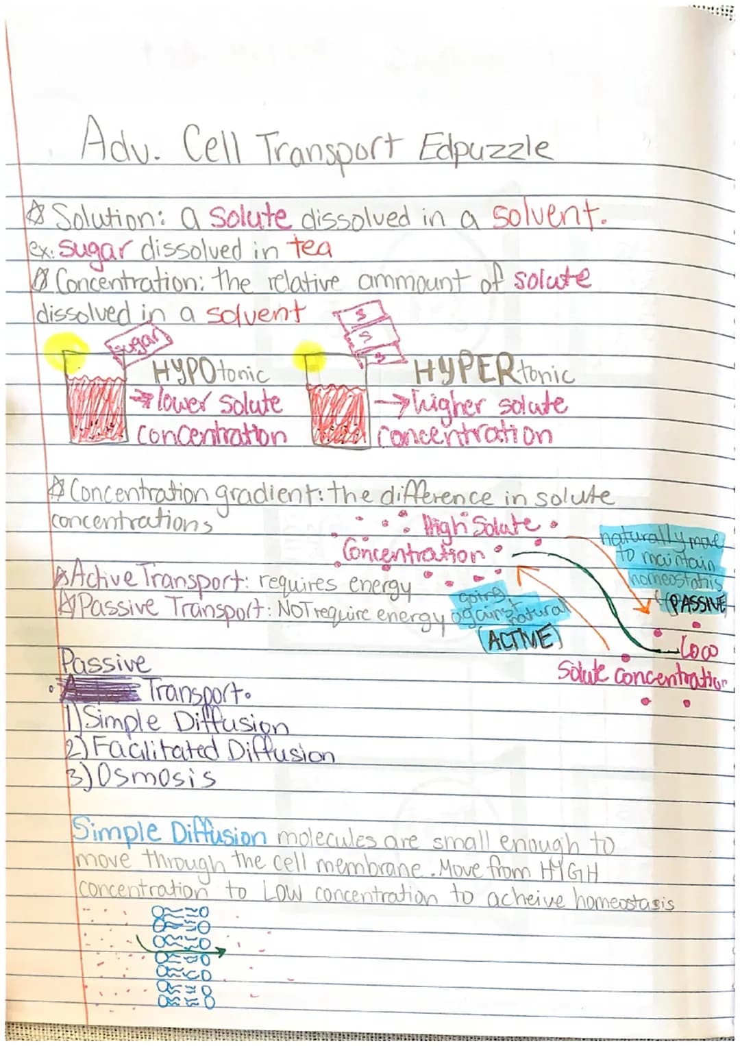 
<h2 id="advancedcelltransportedpuzzle">Advanced Cell Transport Edpuzzle</h2>
<p>The process of a solute being dissolved in a solvent is cal