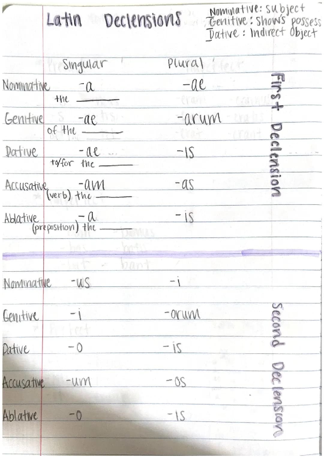 Easy Latin Declensions: A Kid's Study Guide