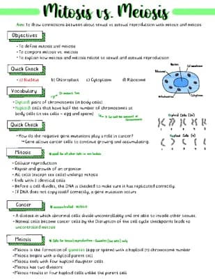 Know mitosis vs meiosis thumbnail
