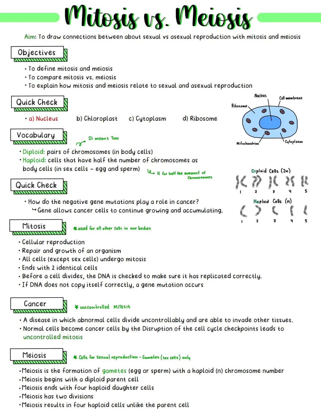 Mitosis vs. Meiosis
Aim: To draw connections between about sexual vs asexual reproduction with mitosis and meiosis
Objectives
• To define mi