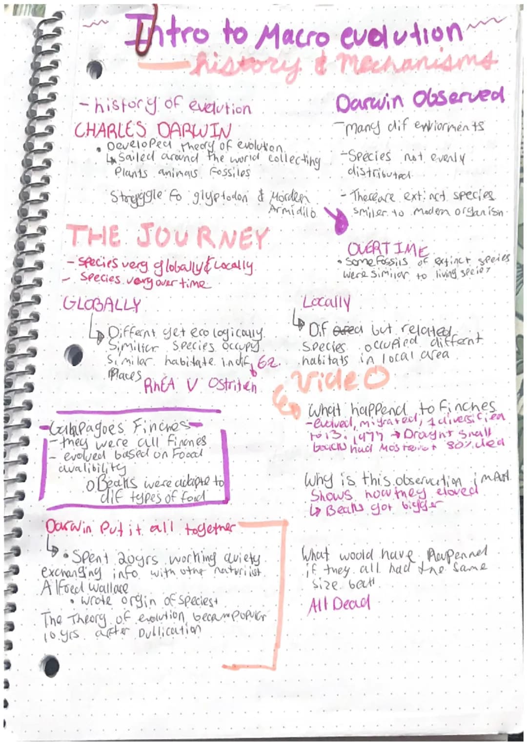 Intro to Macro evolution
history & Mechanisms
- history of evelution
CHARLES DARWIN
Developed theory of evolution.
4 Sailed around the world