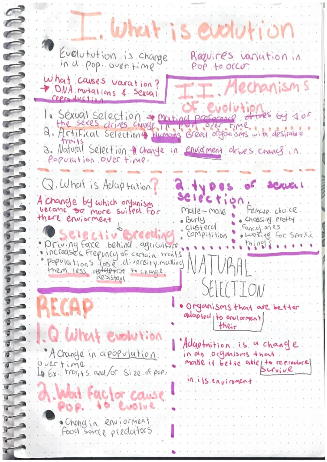 Intro to Macro evolution
history & Mechanisms
- history of evelution
CHARLES DARWIN
Developed theory of evolution.
4 Sailed around the world