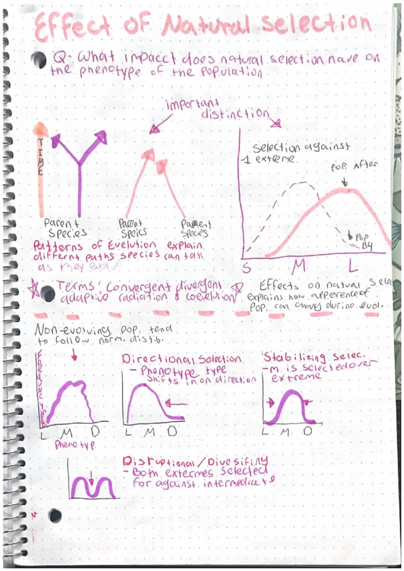 Intro to Macro evolution
history & Mechanisms
- history of evelution
CHARLES DARWIN
Developed theory of evolution.
4 Sailed around the world
