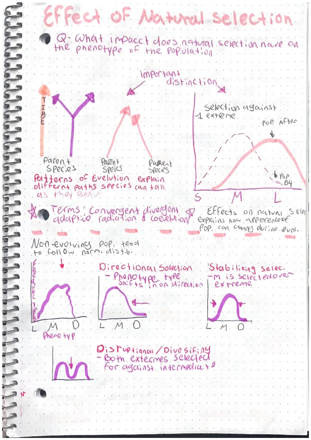 Intro to Macro evolution
history & Mechanisms
- history of evelution
CHARLES DARWIN
Developed theory of evolution.
4 Sailed around the world