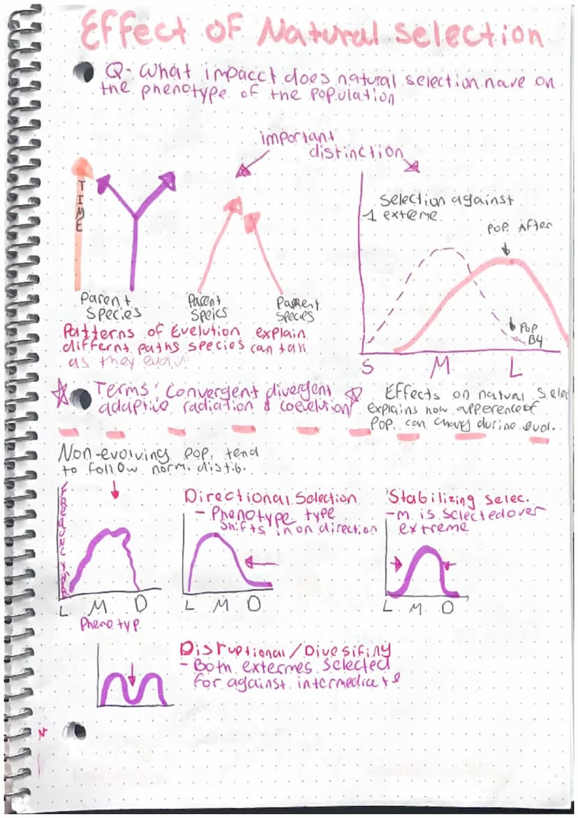Intro to Macro evolution
history & Mechanisms
- history of evelution
CHARLES DARWIN
Developed theory of evolution.
4 Sailed around the world