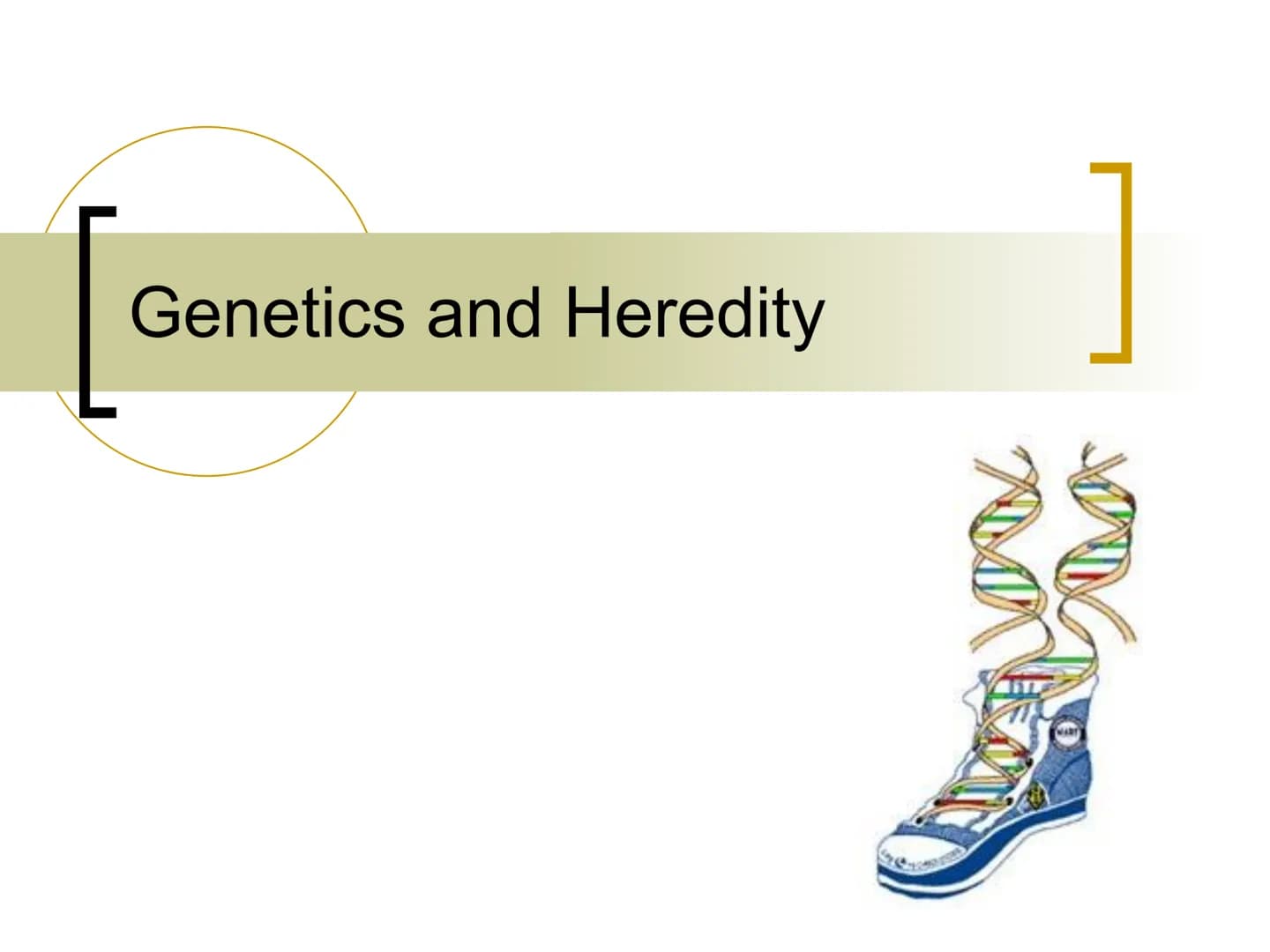 
<p>Genetics is the study of heredity, which involves the passing of traits from parents to offspring. Traits such as hair color, eye color,