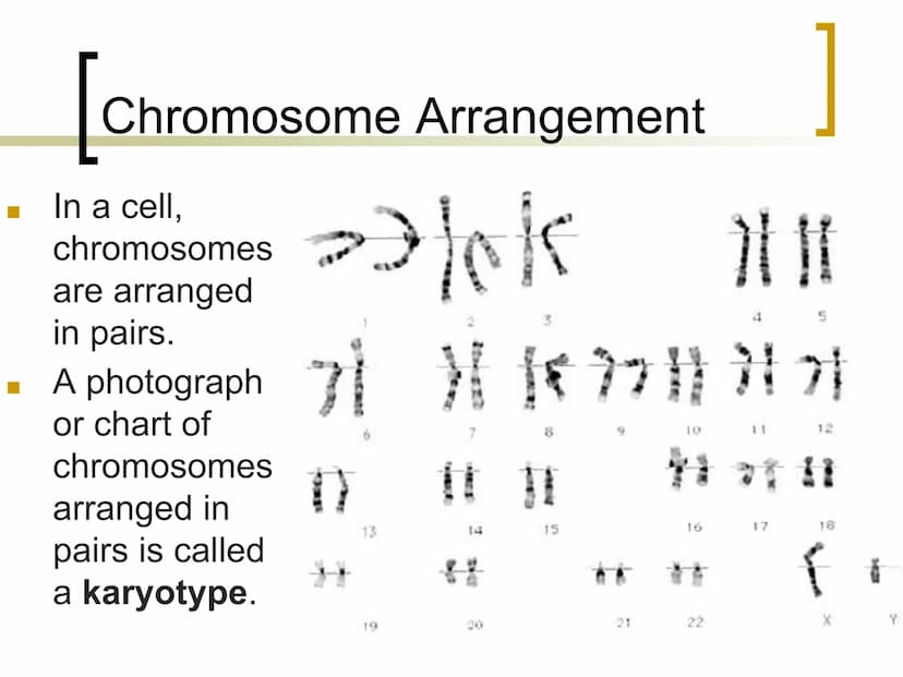 
<p>Genetics is the study of heredity, which involves the passing of traits from parents to offspring. Traits such as hair color, eye color,