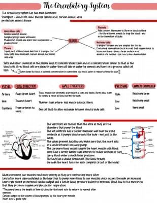 Know CCEA GCSE biology- circulatory system thumbnail