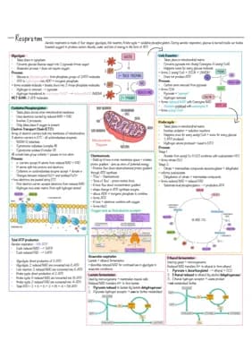 Know Biology Respiration Revision Notes thumbnail
