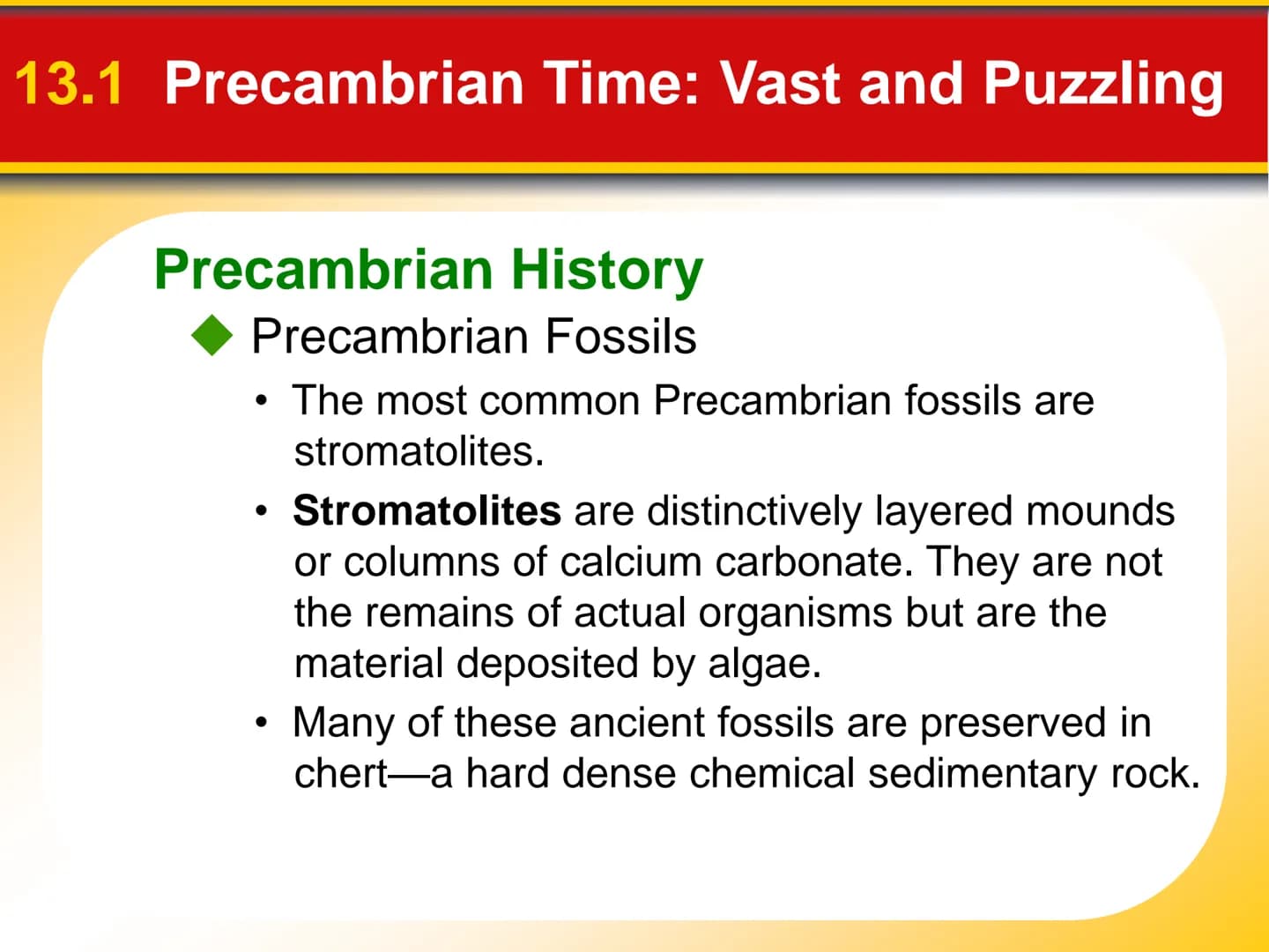 Chapter
13
Earth's History 13.1 Precambrian Time: Vast and Puzzling
Precambrian History
The Precambrian encompasses immense
geological time,