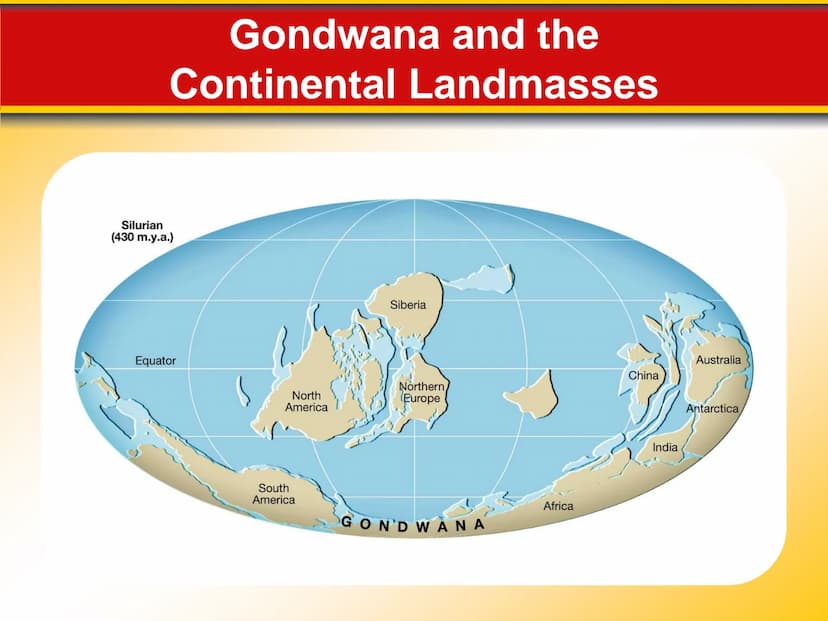 Chapter
13
Earth's History 13.1 Precambrian Time: Vast and Puzzling
Precambrian History
The Precambrian encompasses immense
geological time,