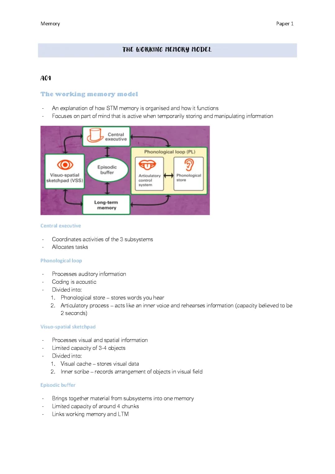 Working Memory Model (Baddeley and Hitch) for IB and A Level Psychology