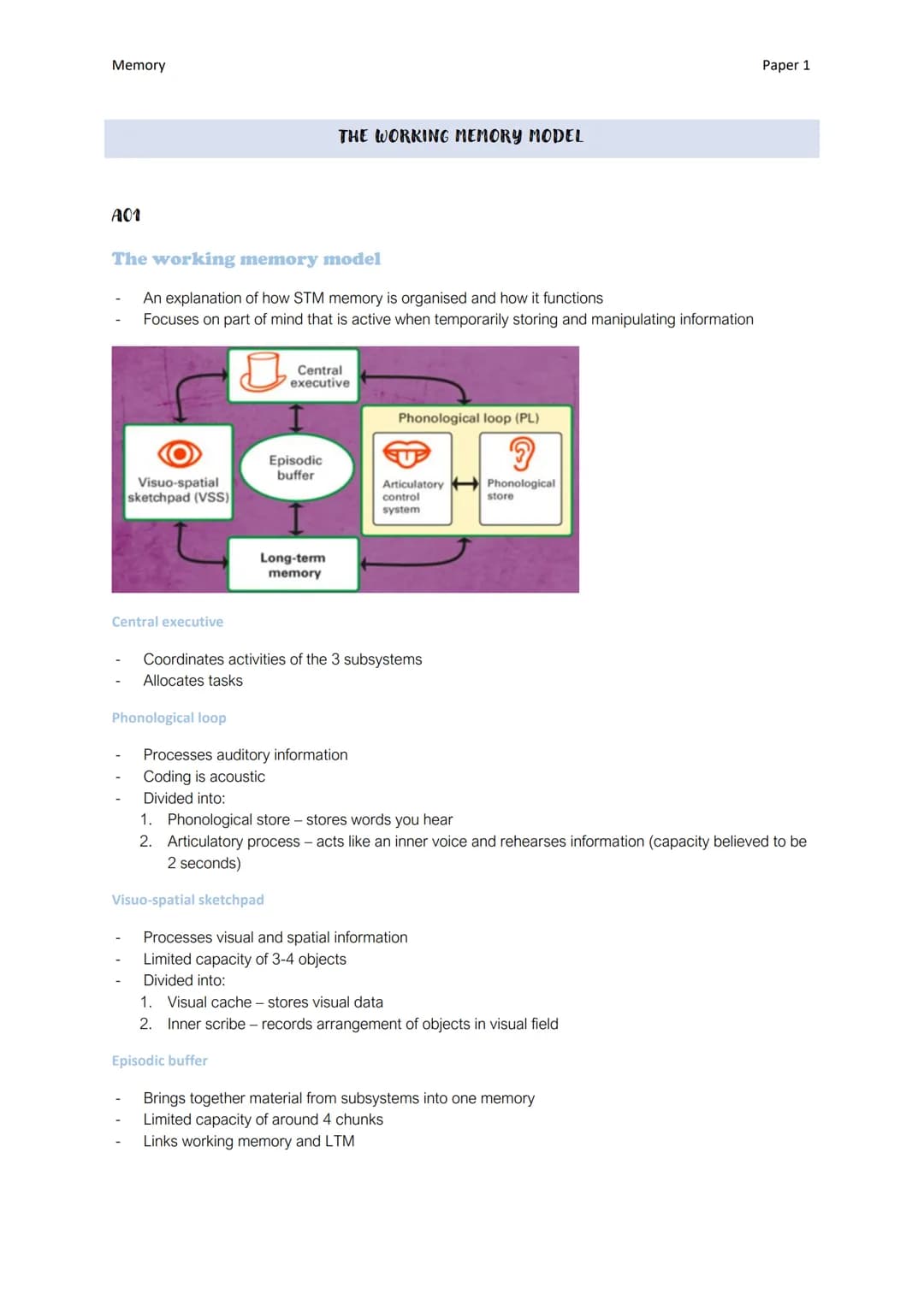 Memory
A01
The working memory model
An explanation of how STM memory is organised and how it functions
Focuses on part of mind that is activ