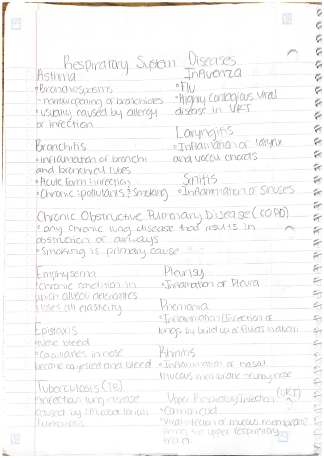 19994CCOGECE OF OF OPP P
Respiratory System
anatomy:
- nose
-pharynx
-larynx
-trachea
-lungs
- bronchi
- alveoli
Function: take in oxygen ; 