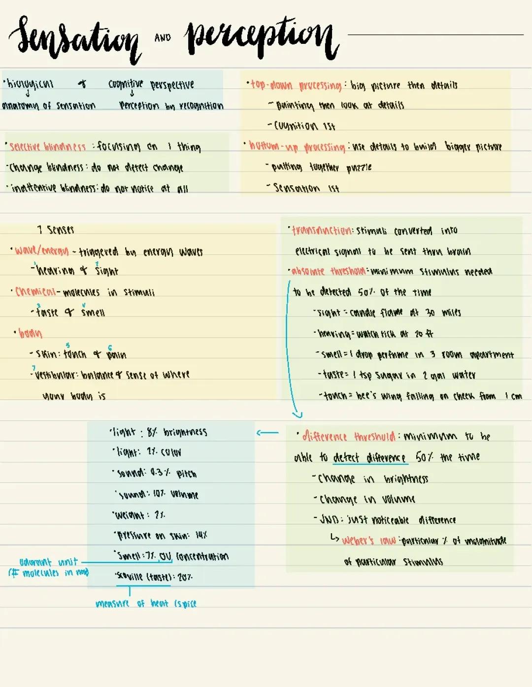 AP Psychology: Comprehensive Sensation and Perception Notes