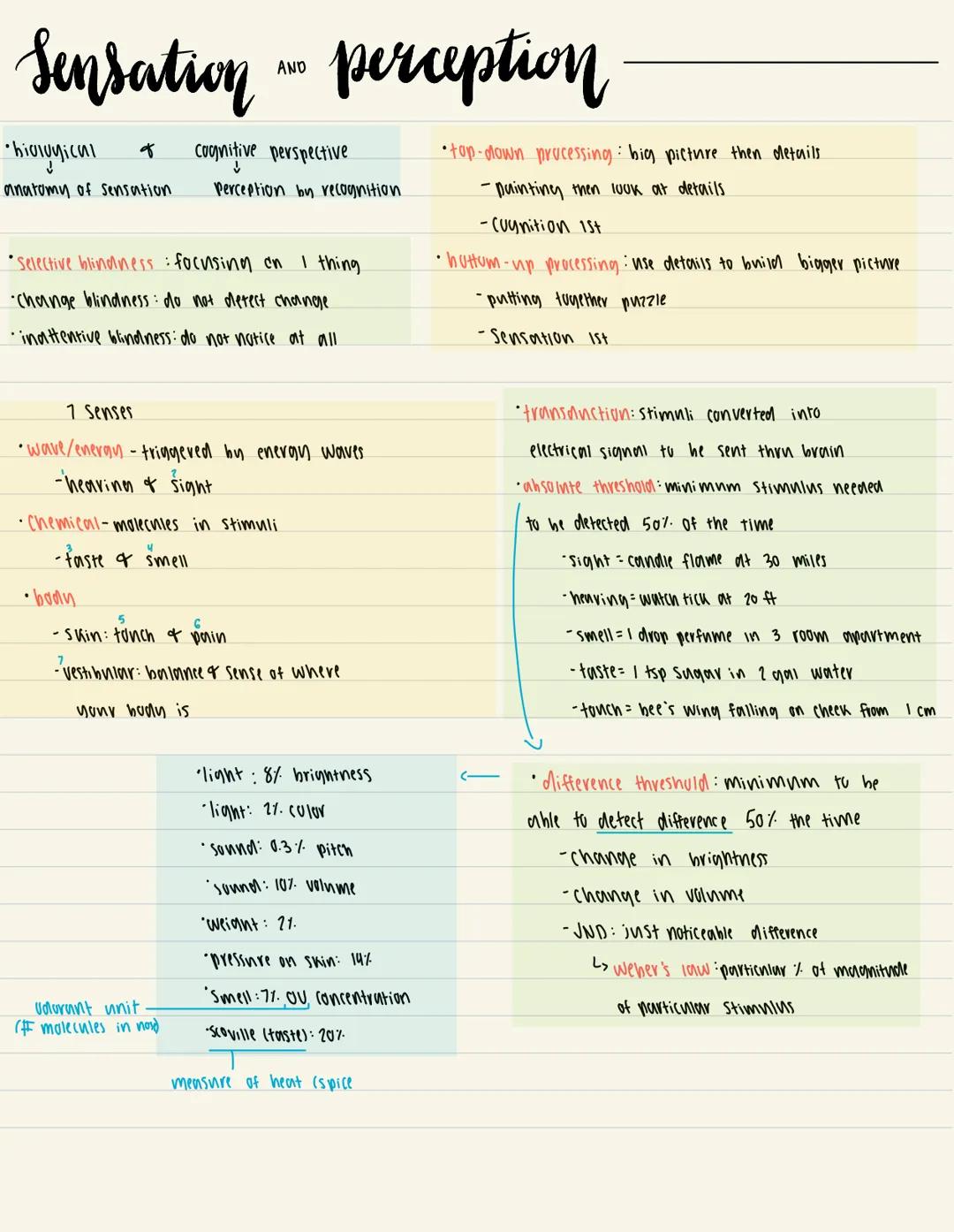 Sensation - perception
AND
•biological
g
↓
anatomy of sensation.
•Selective blindness : focusing on I thing
•Change blindness: do not detect