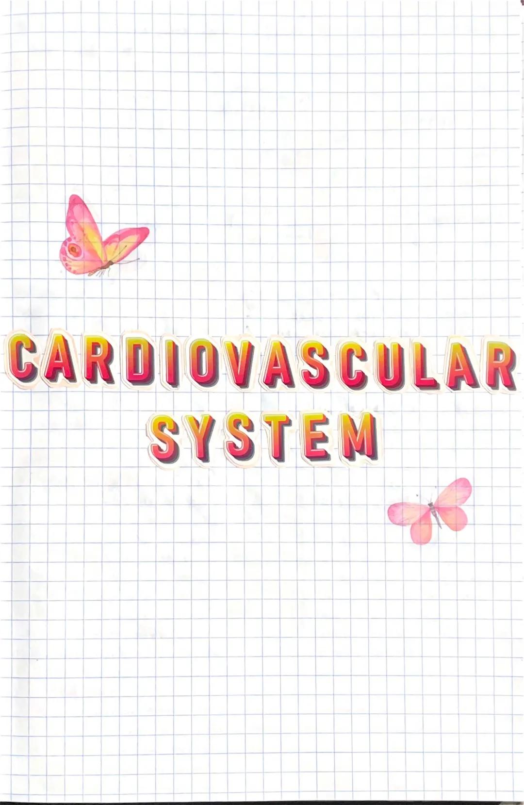 cardiovascular system 