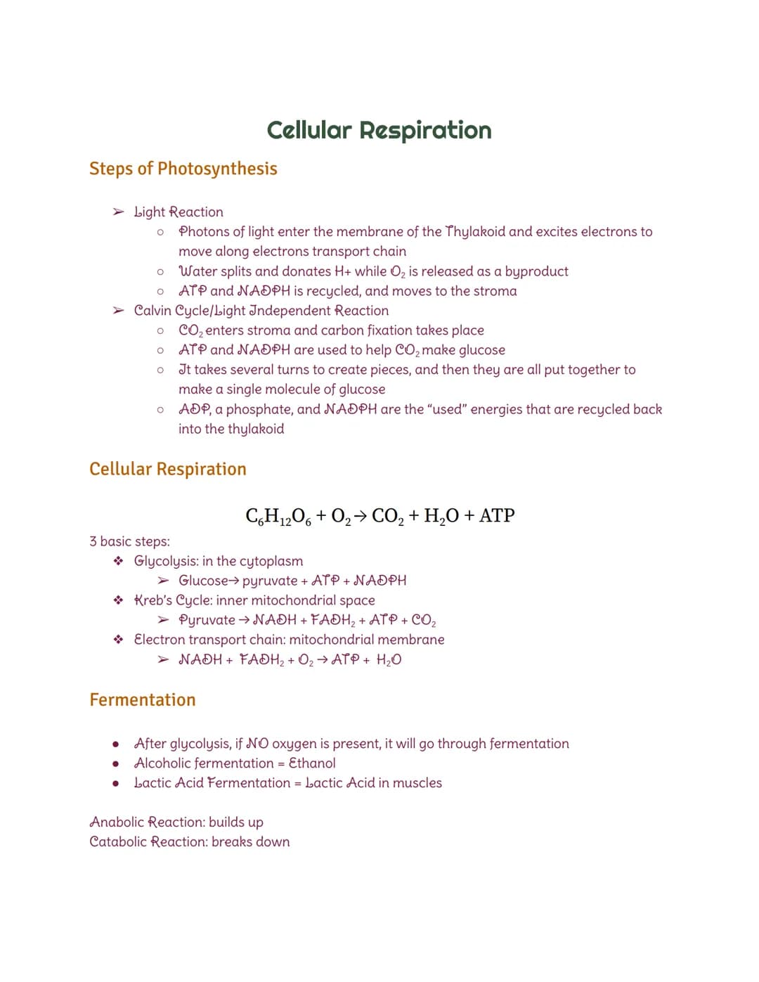 Photosynthesis vs Cellular Respiration: Diagrams and Equations for Kids