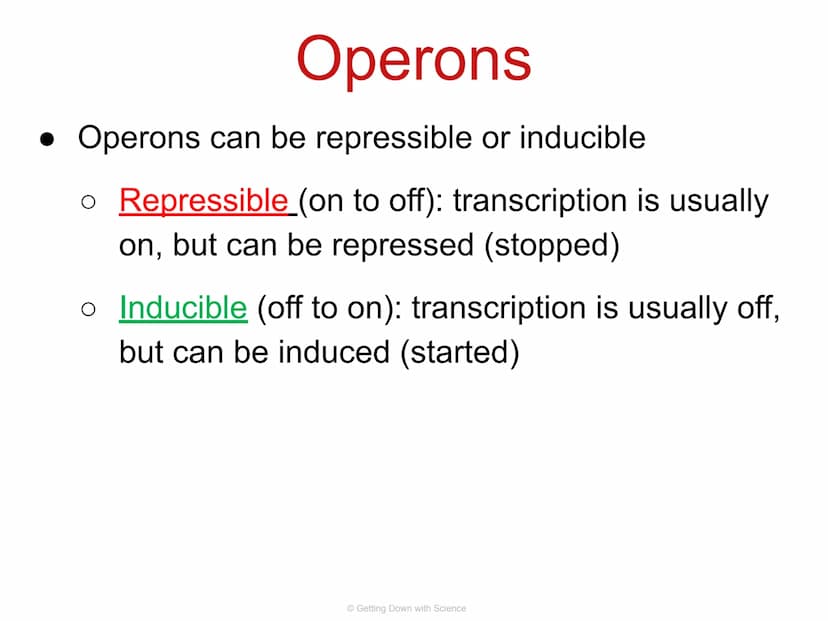 
<p>Regulation of Gene Expression and Cell Specialization<br />
Transcription<br />
Translation<br />
DNA<br />
mRNA<br />
Getting Down with