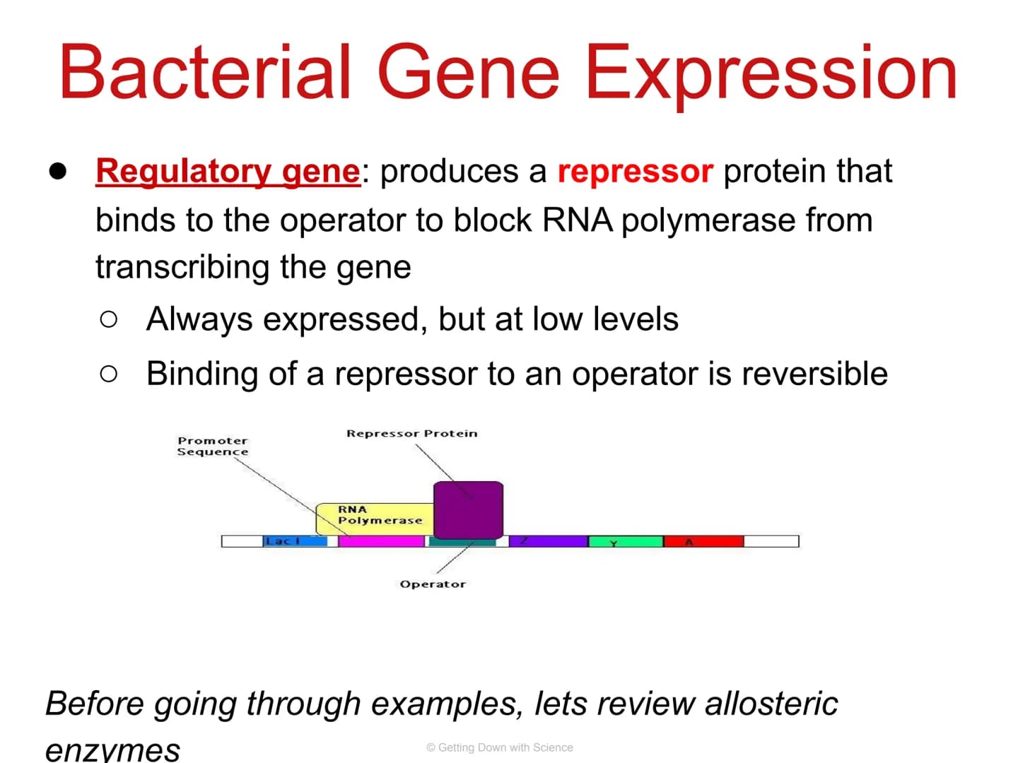 
<p>Regulation of Gene Expression and Cell Specialization<br />
Transcription<br />
Translation<br />
DNA<br />
mRNA<br />
Getting Down with