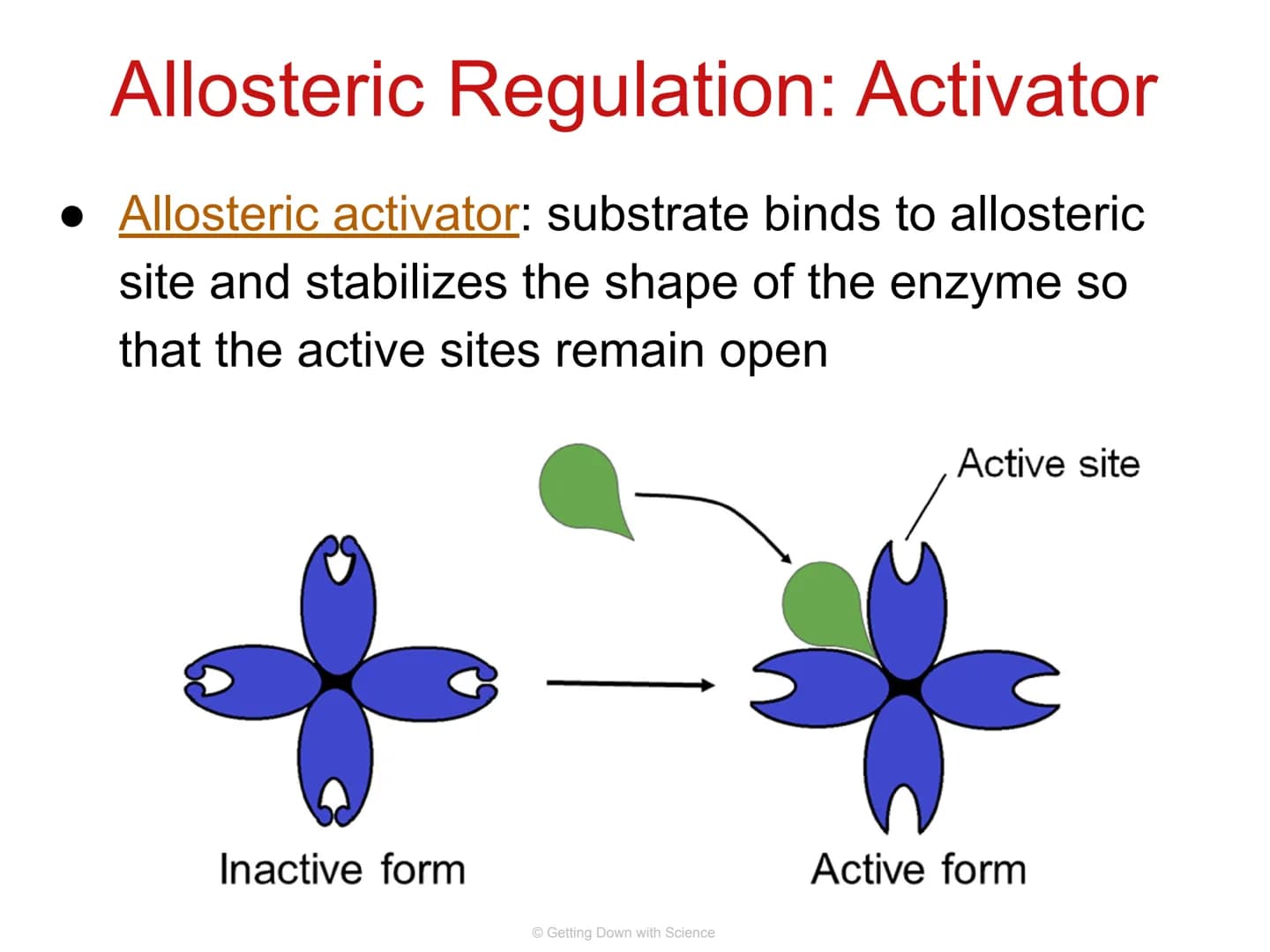
<p>Regulation of Gene Expression and Cell Specialization<br />
Transcription<br />
Translation<br />
DNA<br />
mRNA<br />
Getting Down with