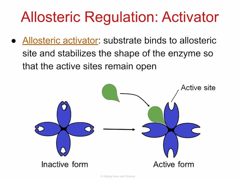 
<p>Regulation of Gene Expression and Cell Specialization<br />
Transcription<br />
Translation<br />
DNA<br />
mRNA<br />
Getting Down with