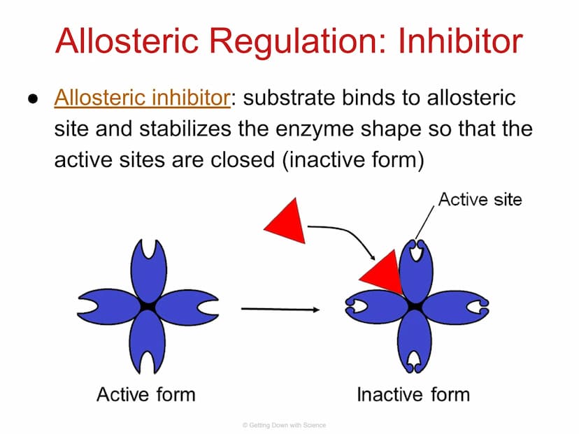
<p>Regulation of Gene Expression and Cell Specialization<br />
Transcription<br />
Translation<br />
DNA<br />
mRNA<br />
Getting Down with