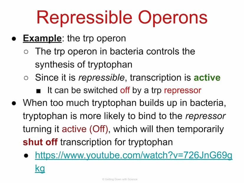 
<p>Regulation of Gene Expression and Cell Specialization<br />
Transcription<br />
Translation<br />
DNA<br />
mRNA<br />
Getting Down with