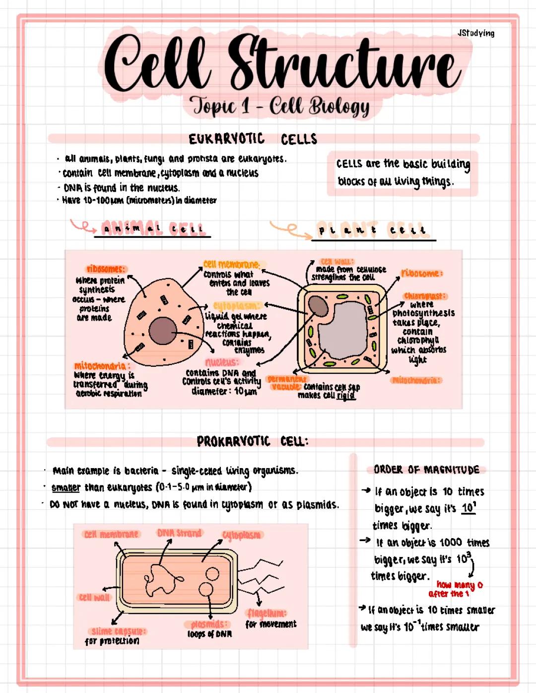 cell structure 