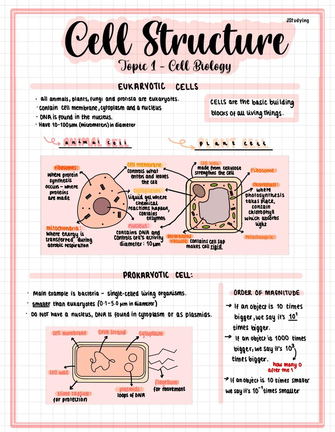 Cell Structure
Topic 1 - Cell Biology
all animals, plants, fungi and protista are eukaryotes.
contain cell membrane, cytoplasm and a nucleus