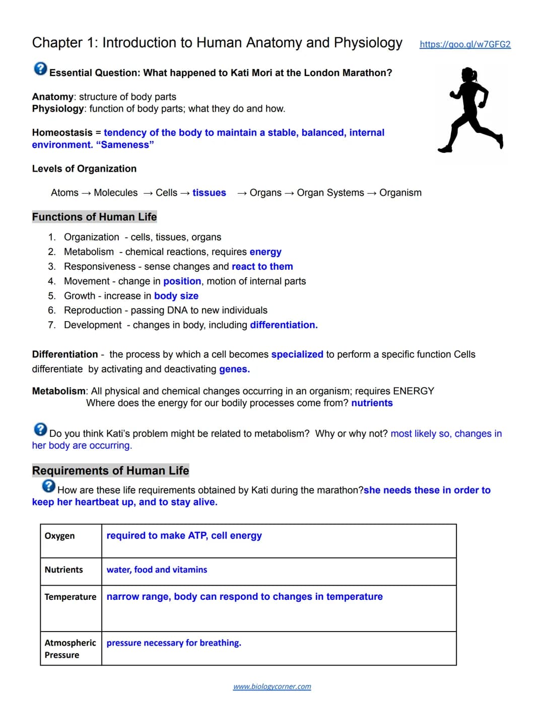 Chapter 1: Introduction to Human Anatomy and Physiology
Essential Question: What happened to Kati Mori at the London Marathon?
Anatomy: stru