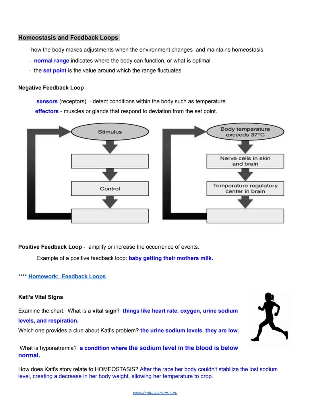 Chapter 1: Introduction to Human Anatomy and Physiology
Essential Question: What happened to Kati Mori at the London Marathon?
Anatomy: stru