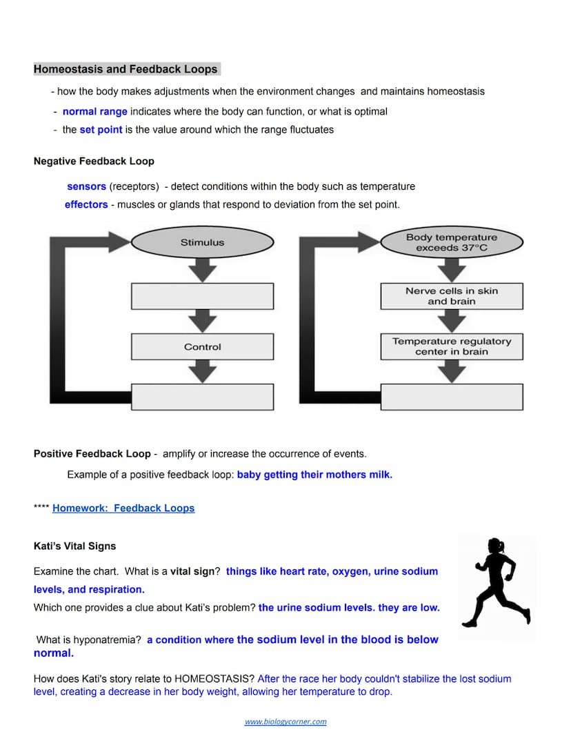 Chapter 1: Introduction to Human Anatomy and Physiology
Essential Question: What happened to Kati Mori at the London Marathon?
Anatomy: stru
