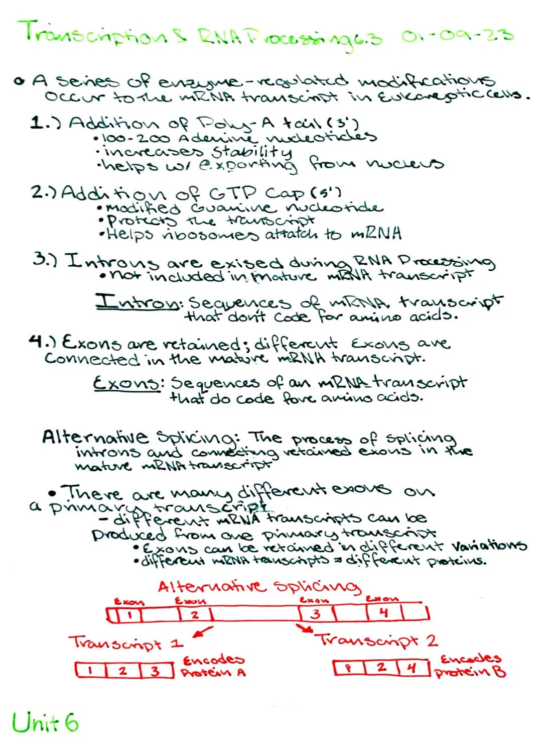 Transcription & DNA Processing 6.3
Central Dogma DNA +RNA Proteins
•Genetic info is stored in DNA molecules
•RNA molecules facilitate protei