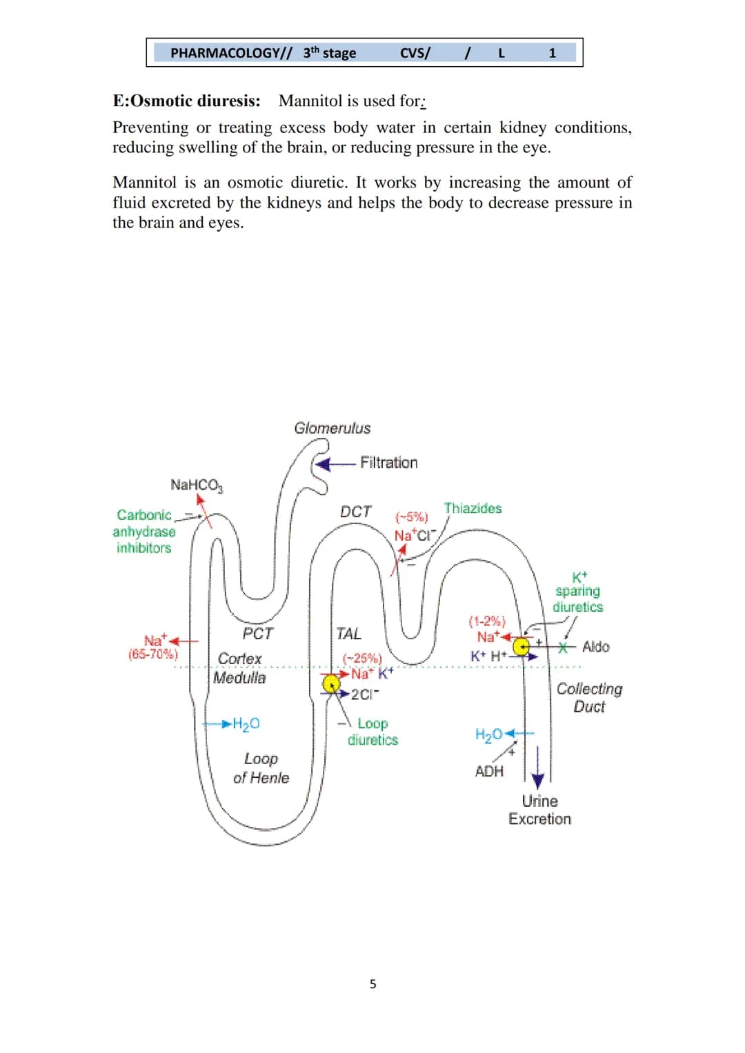 PHARMACOLOGY// 3th stage
CVS/ / L
1
Hypertension
Hypertension is defined as continuous elevation of systolic blood
pressure ≥140 mmHg or dia