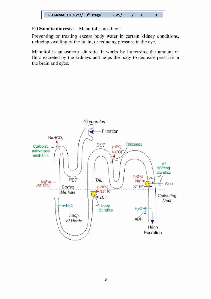 PHARMACOLOGY// 3th stage
CVS/ / L
1
Hypertension
Hypertension is defined as continuous elevation of systolic blood
pressure ≥140 mmHg or dia