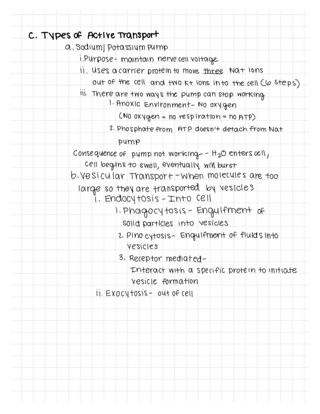 -Cell and Transport Study Guide Part II
1. Passive Transport
a. Simple Diffusion
movement of molecules from high to low, down concentration 