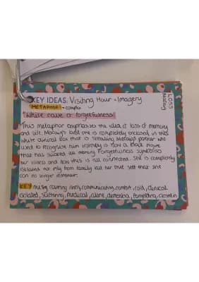 Know Visiting Hour McCaig quote analysis thumbnail