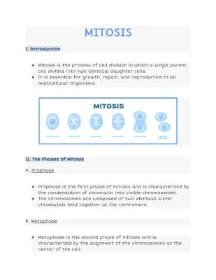 Know Mitosis thumbnail