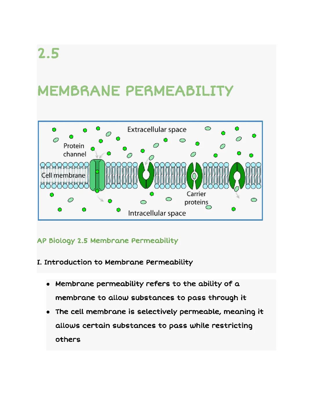 AP Bio: Membrane Permeability for Kids - Class 9 Explained!