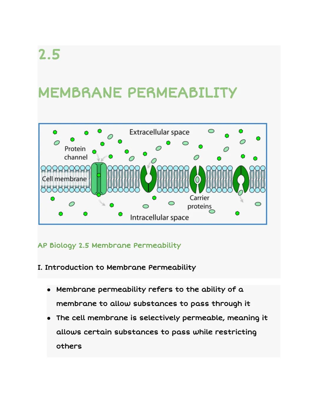 2.5
MEMBRANE PERMEABILITY
Protein
channel
AAAAAA
Cell membrane
B B B B B B B B
Extracellular space
Carrier
proteins
Intracellular space
AP B