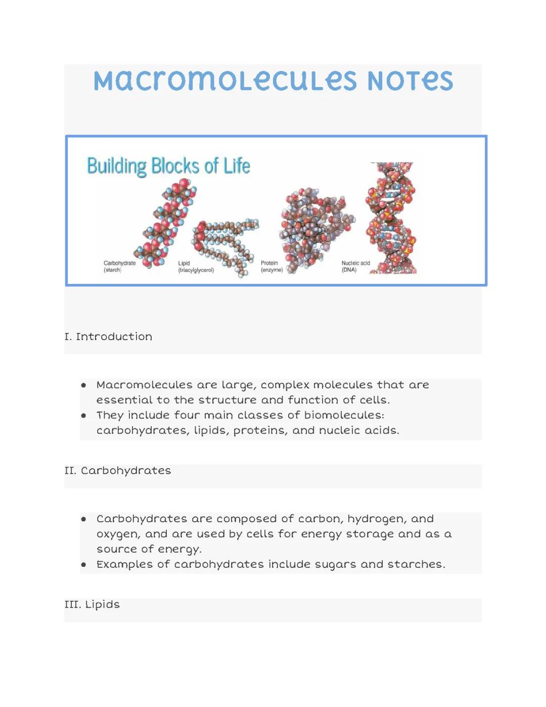 Detailed Macromolecules Notes for AP Bio PDF: Carbohydrates, Proteins, Lipids, Nucleic Acids