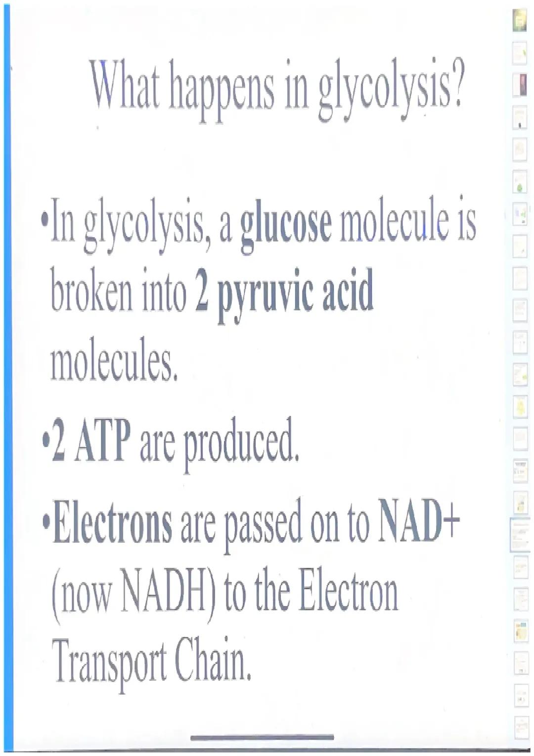 Glycolysis and Fermentation Overview