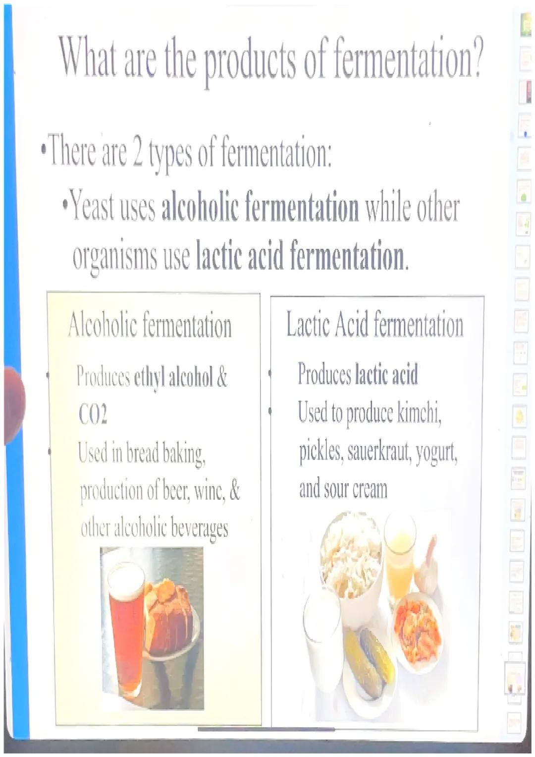 What happens in glycolysis?
In glycolysis, a glucose molecule is
broken into 2 pyruvic acid
molecules.
•2 ATP are produced.
Electrons are pa