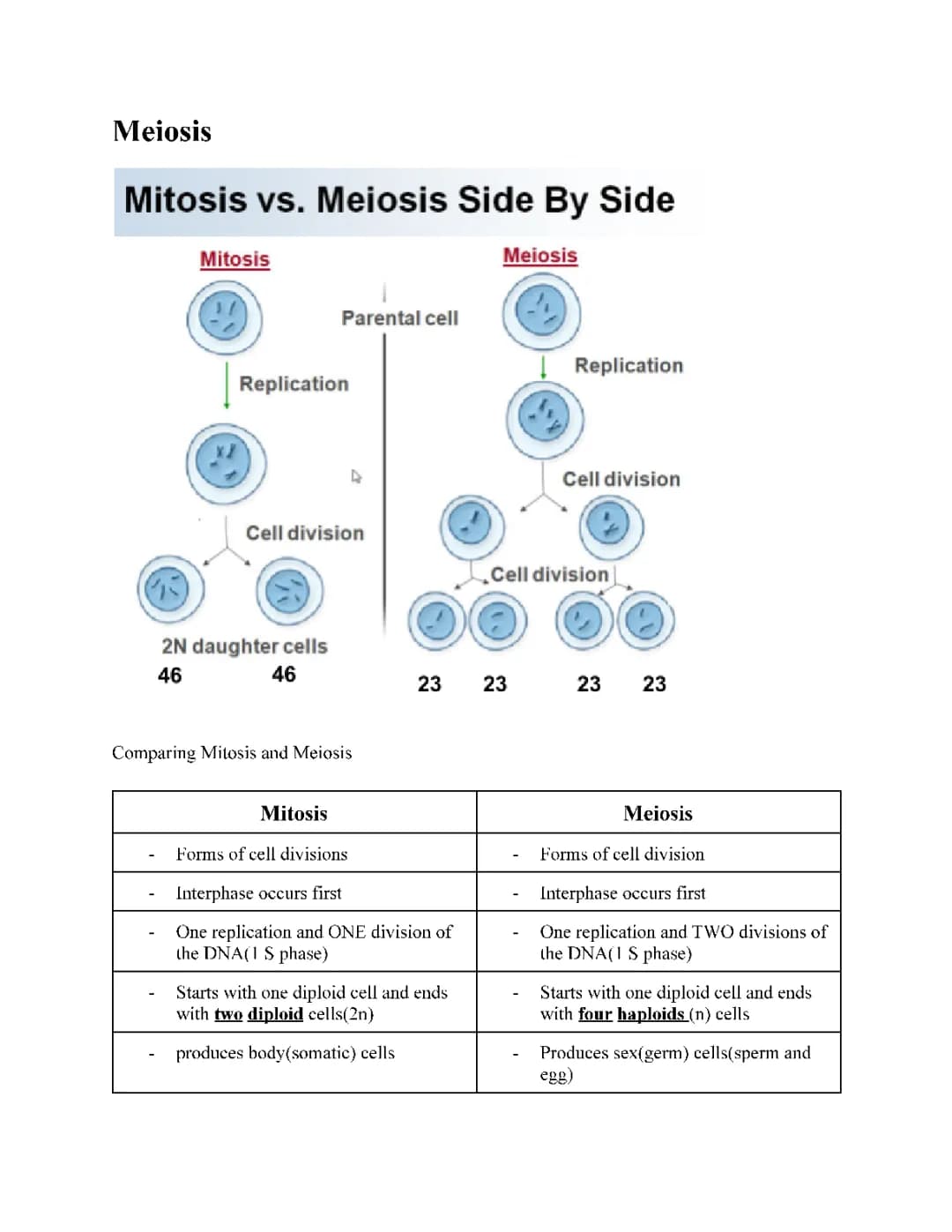 Meiosis