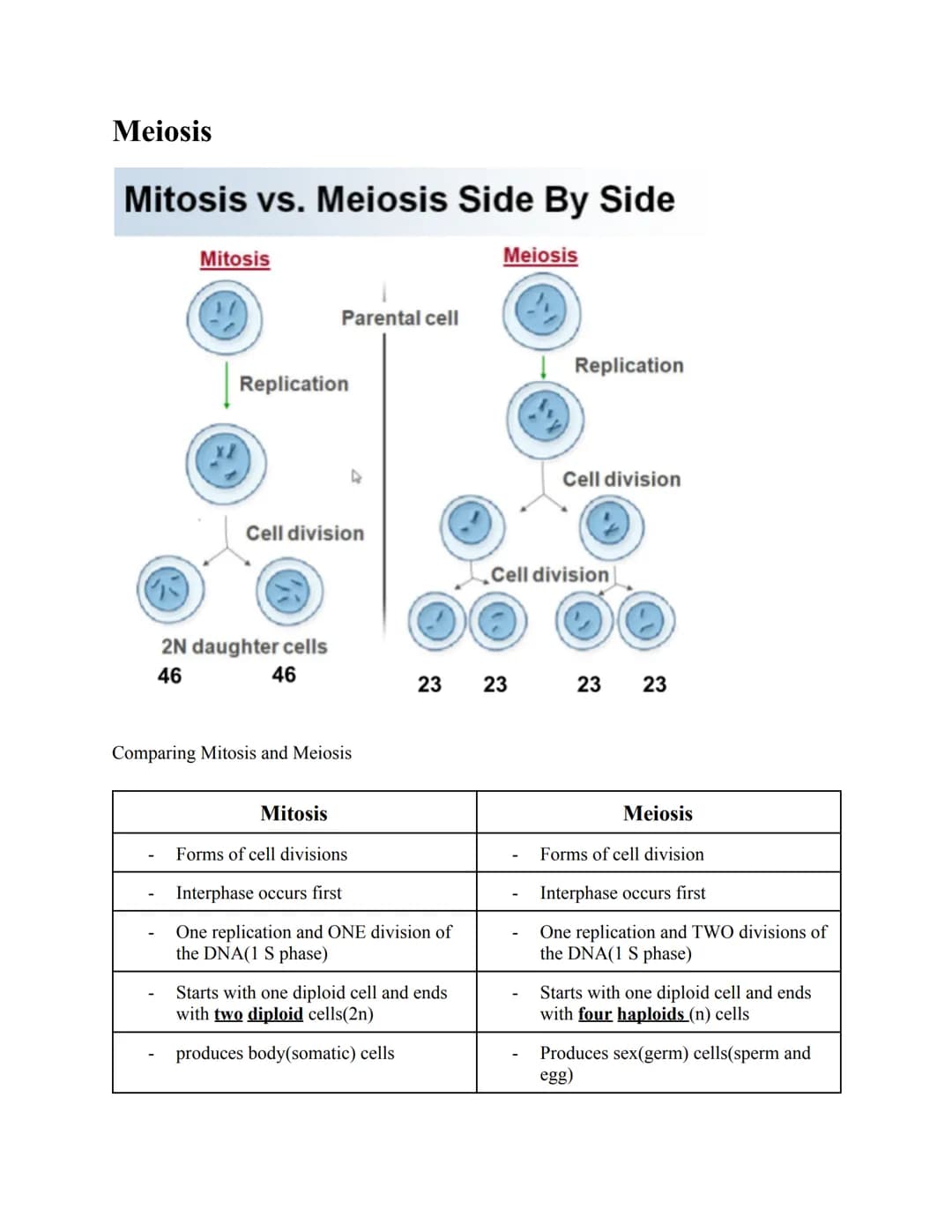 Meiosis
Mitosis vs. Meiosis Side By Side
Mitosis
2
Replication
Parental cell
Cell division
2N daughter cells
46
46
Comparing Mitosis and Mei
