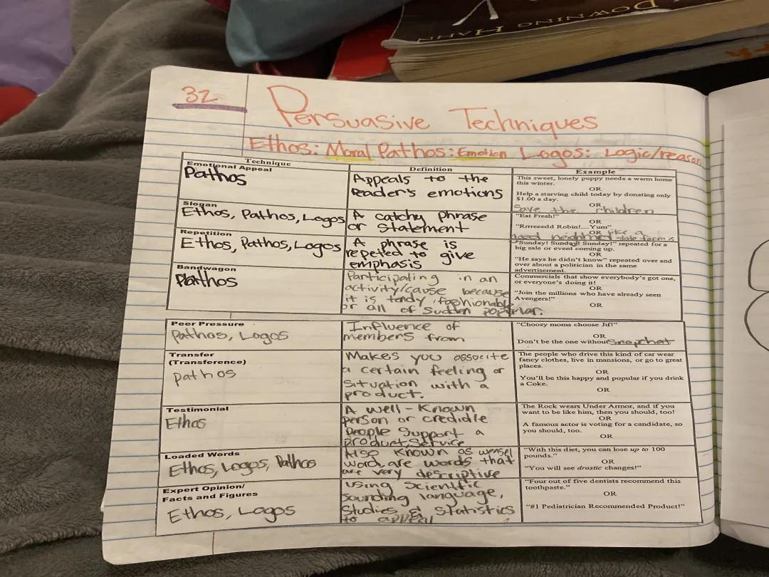 Persuasive Techniques 