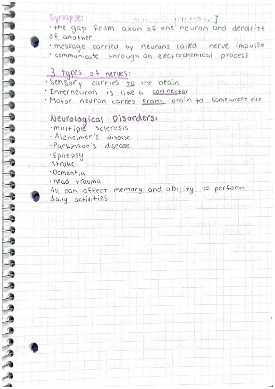 fun facts:
the
Neurological System
average adult brain is 3 pounds
it's made up of 75% water
100,000,000,000 nuerons in brain.
brain can't f