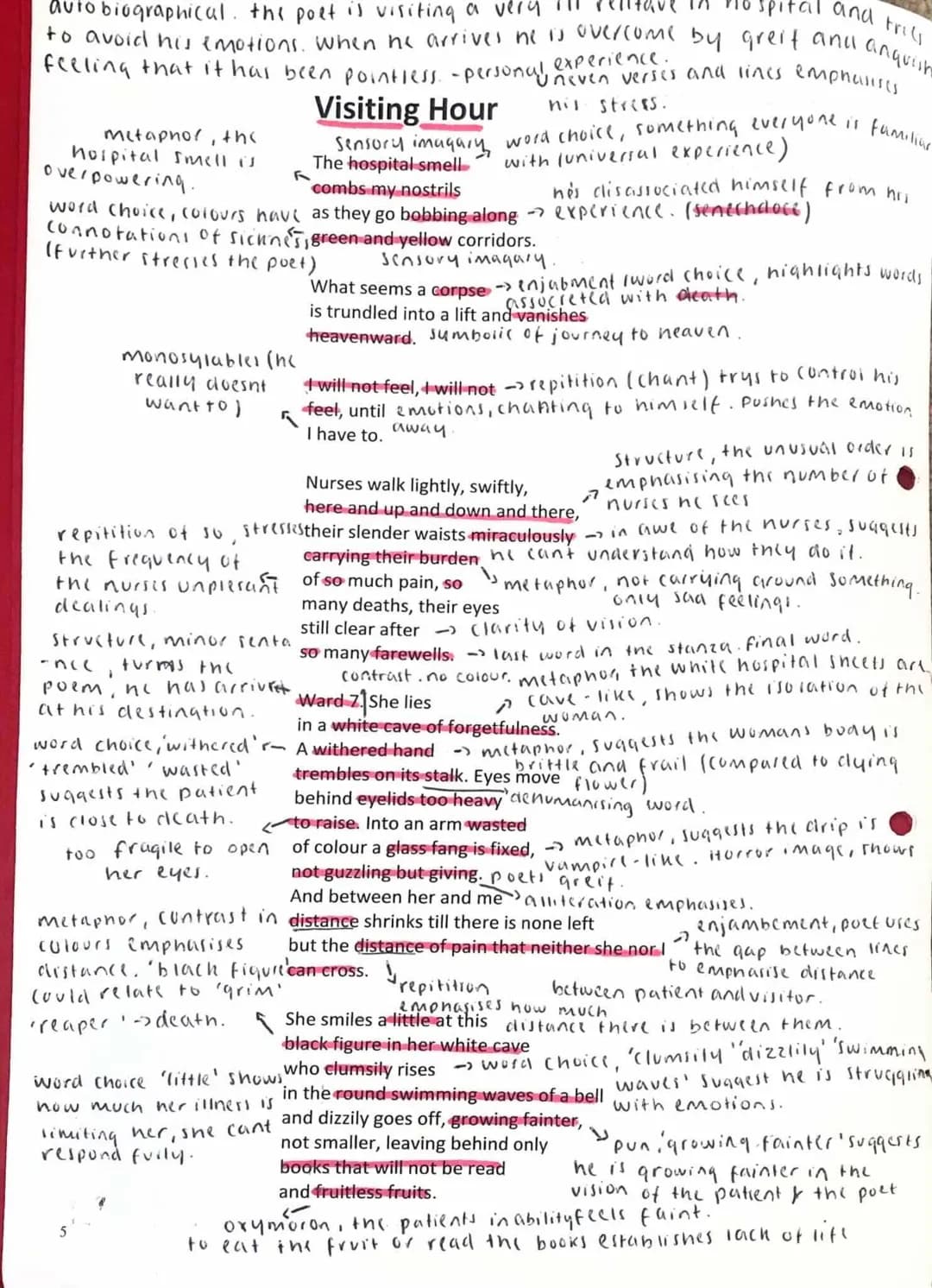 Visiting Hour by Norman MacCaig: Poem Analysis, Summary & Themes