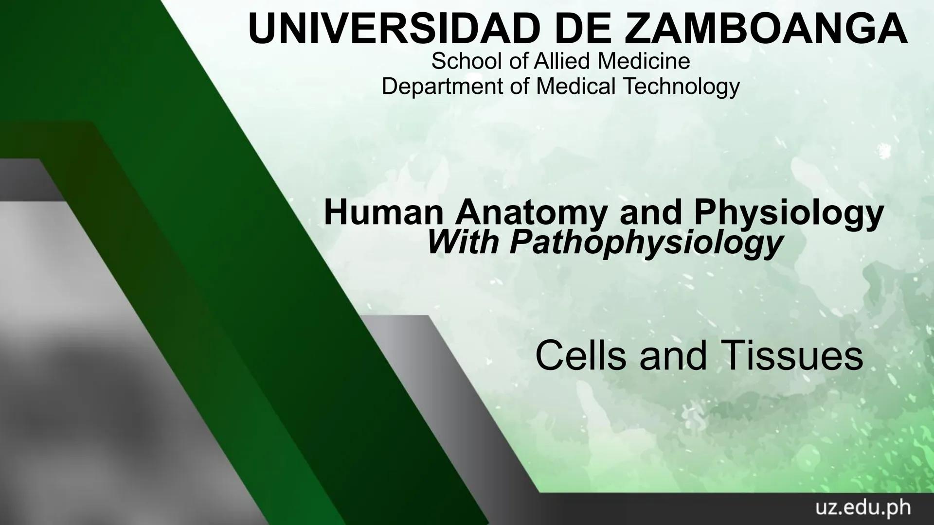 UNIVERSIDAD DE ZAMBOANGA
School of Allied Medicine
Department of Medical Technology
Human Anatomy and Physiology
With Pathophysiology
Cells 